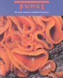 Tapa de Fungi