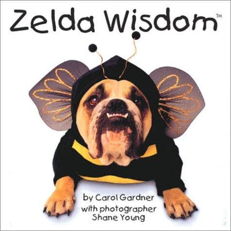 Tapa de Zelda Wisdom (Zelda)