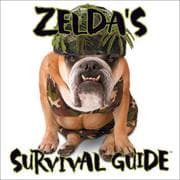 Tapa de Zelda's survival guide