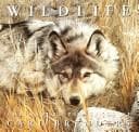 Tapa de Wildlife the Nature Paintings of Carl Brenders