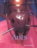 Tapa de Ants (Animalways)