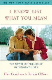 Tapa de I know just what you mean : the power of friendship in women's lives