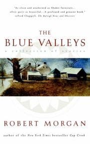Tapa de The Blue Valley