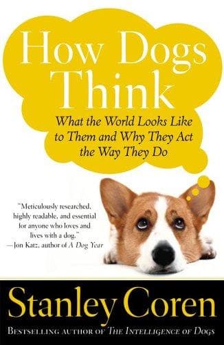 Tapa de How Dogs Think