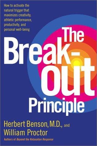 Tapa de The break-out principle