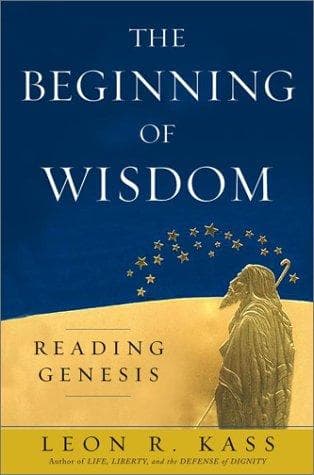 Tapa de The Beginning of Wisdom