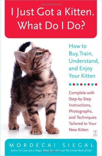Tapa de I Just Got a Kitten. What Do I Do?