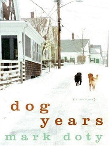 Tapa de Dog Years LP