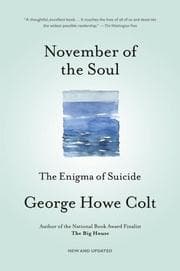 Tapa de November of the soul