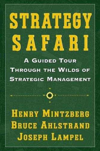 Tapa de Strategy safari