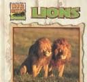 Tapa de Lions
