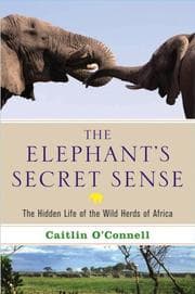 Tapa de The Elephant's Secret Sense