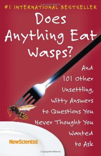 Tapa de Does Anything Eat Wasps?