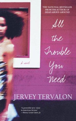 Tapa de All the Trouble You Need
