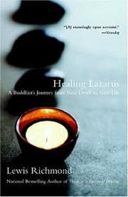 Tapa de Healing Lazarus