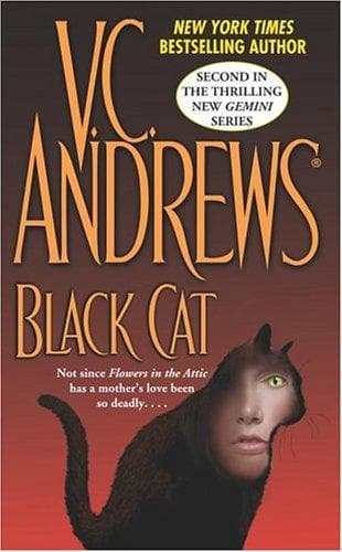 Tapa de Black Cat (Gemini)