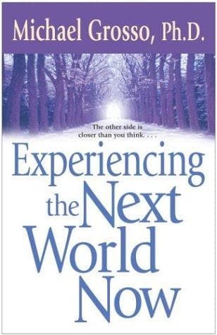 Tapa de Experiencing the next world now