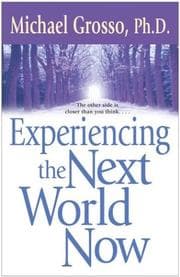 Tapa de Experiencing the next world now