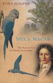 Tapa de Spix's Macaw