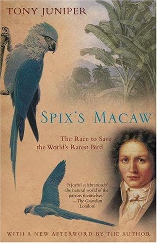 Tapa de Spix's Macaw