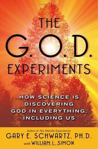Tapa de The G.O.D. experiments