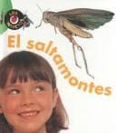 Tapa de El Saltamontes/Grasshopper (Los Insectos)