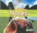 Tapa de Noses (Spot the Difference)