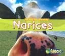 Tapa de Narices/Noses (Encuentra Las Diferencias/Spot the Difference)