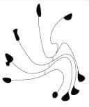 Tapa de Surreal Calder