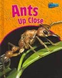Tapa de Ants Up Close (Minibeasts Up Close)