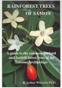 Tapa de Rainforest trees of Samoa