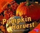 Tapa de Pumpkin Harvest