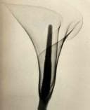 Tapa de Dr. Dain L. Tasker