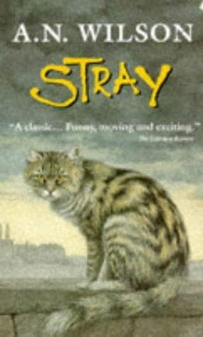 Tapa de Stray