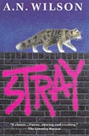 Tapa de Stray