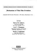 Tapa de Mechanisms of Thin-Film Evolution Vol. 317