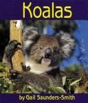 Tapa de Koalas