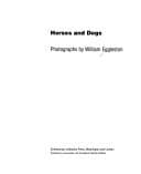 Tapa de Horses and dogs