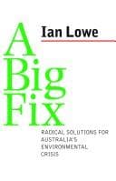 Tapa de A big fix