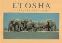 Tapa de Etosha