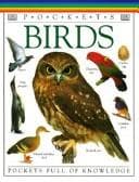 Tapa de Birds