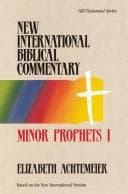 Tapa de Minor Prophets I (New International Biblical Commentary