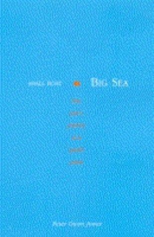 Tapa de Small Boat, Big Sea