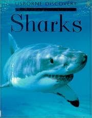 Tapa de Sharks (Discovery Program)