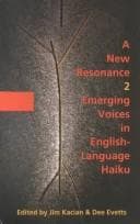 Tapa de A new resonance 2