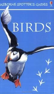 Tapa de Birds