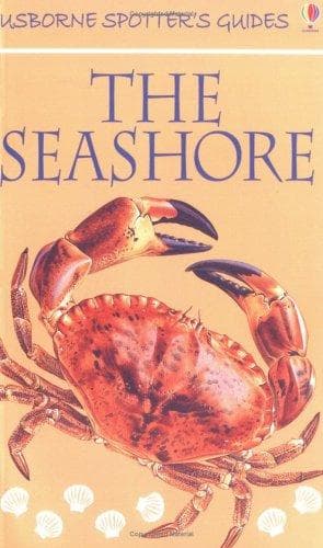 Tapa de The Seashore