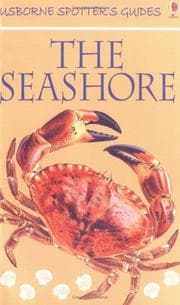 Tapa de The Seashore