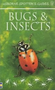 Tapa de Bugs and Insects