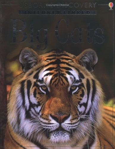 Tapa de Big Cats (Internet-linked "Discovery" Programme)